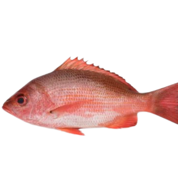 Pargo Entero 400/450 G